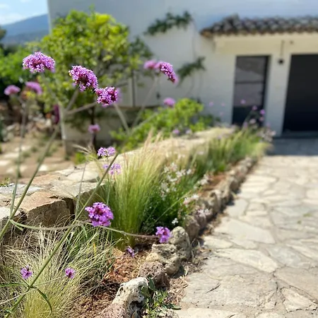Chaleureuse De 90m2 Avec Terrasse Ombragée De 50m2, Plancha Et Aperçu Sainte-Maxime