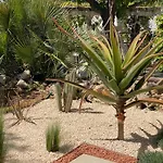 Vacatella - La Nonna, Rez De Jardin De 90m2 D'une Avec Terrasse Privative De 50m2 Et Apercu