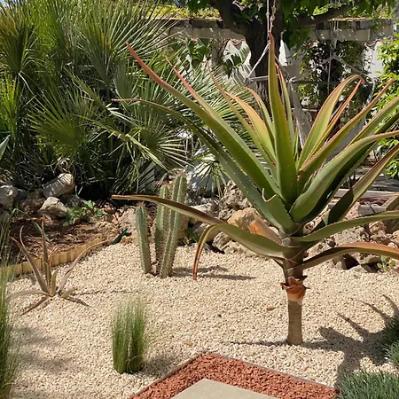 Chaleureuse De 90m2 Avec Terrasse Ombragee De 50m2, Plancha Et Apercu